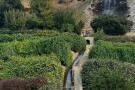 Park Bustan (2).jpeg