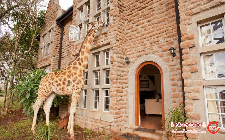 هتل جِراف مَنِر (Giraffe Manor)