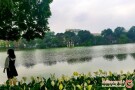 Hanoi lake 2.jpeg