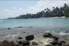 Coconut Tree Hill (2).png