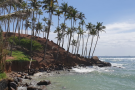 Coconut Tree Hill (5).png
