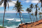 Coconut Tree Hill (3).png