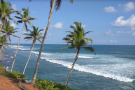 Coconut Tree Hill (4).png