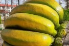 پارک شهر فومن (پارک کودک فومن) (3).jpeg