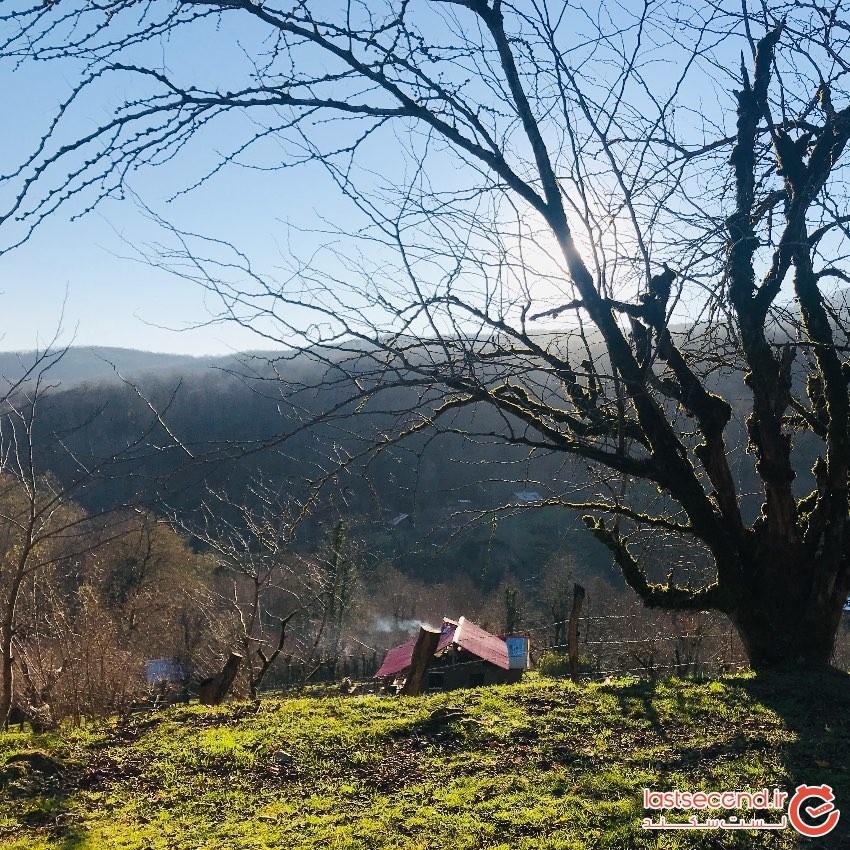 روستای کچا (1).jpeg
