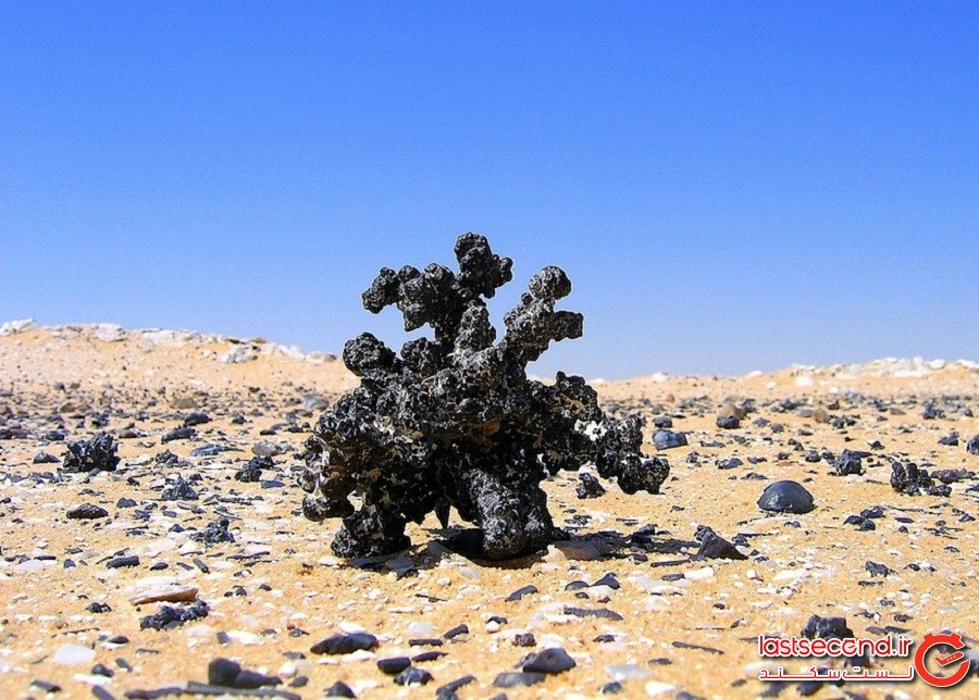 صحرای سیاه مصر