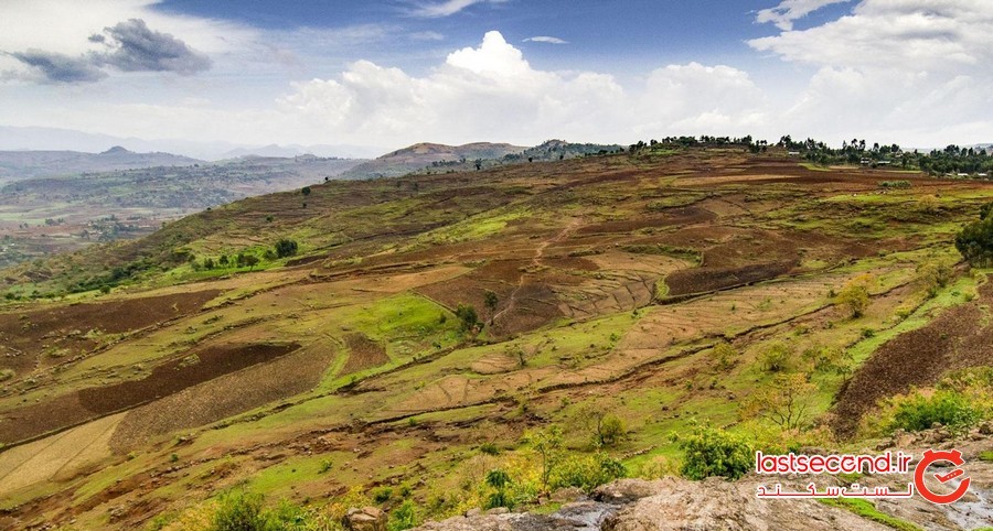 کلیساهای جنگلی، نجات بخش محیط زیست اتیوپی