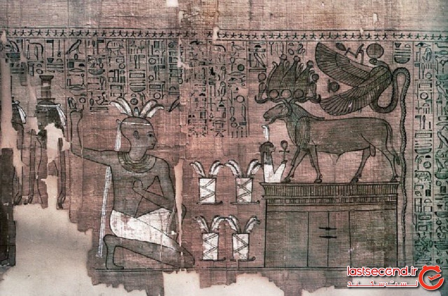 قدیمی‌ترین کتاب مصور جهان در یک تابوت مصری کشف شد