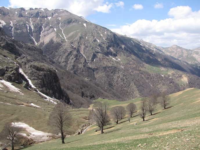 خلیل دشت (1).jpg