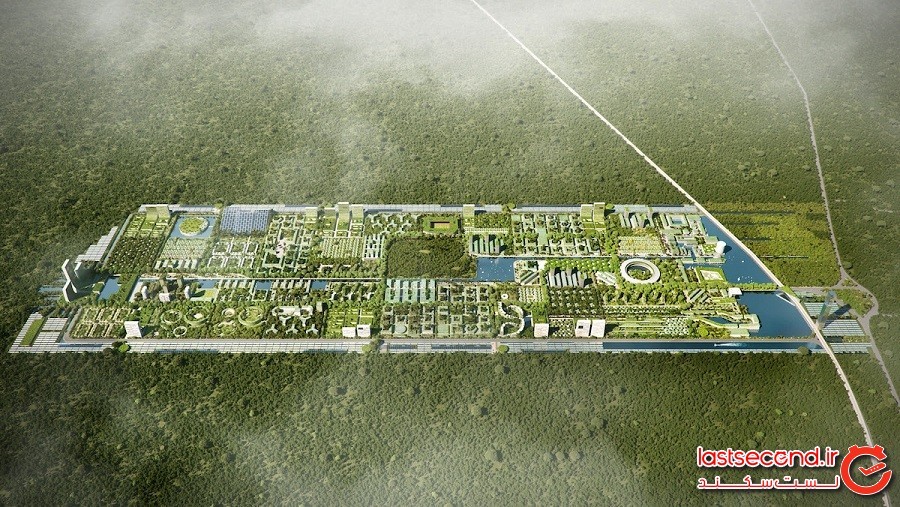 این شهر هوشمند جدید در کانکون مکزیک در آینده کشتگاه بیش از 7 میلیون گیاه و درخت خواهد بود