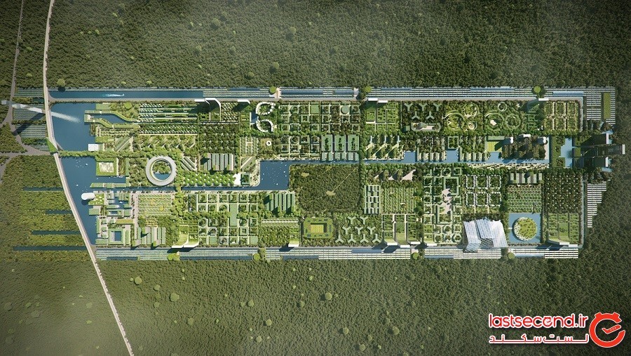 این شهر هوشمند جدید در کانکون مکزیک در آینده کشتگاه بیش از 7 میلیون گیاه و درخت خواهد بود