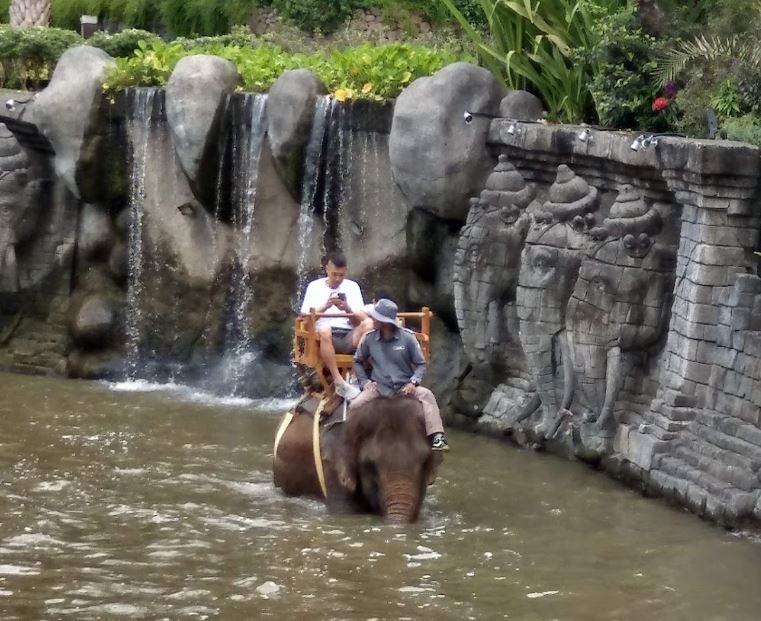 bali-zoo (3).JPG