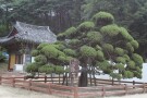 Silleuksa Temple Yeoju si (2).jpg