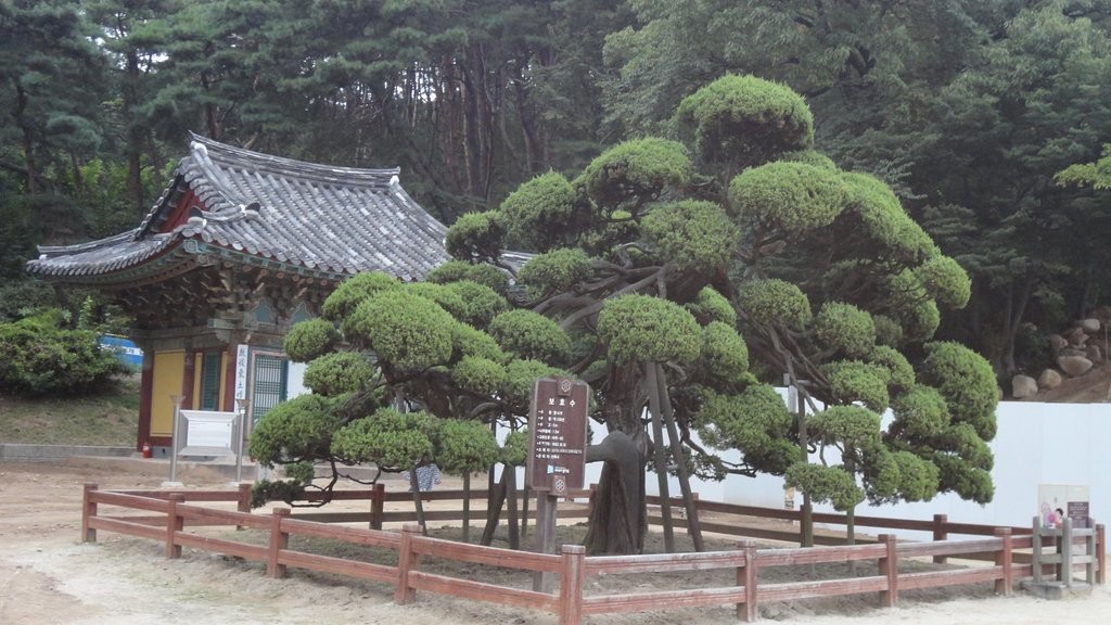 Silleuksa Temple Yeoju si (2).jpg