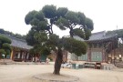 Silleuksa Temple Yeoju si (5).jpg