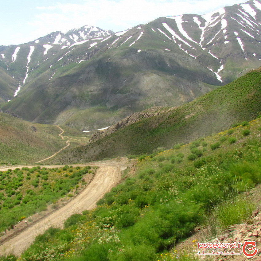 Gardaneh Asalak gahsar (3).jpeg