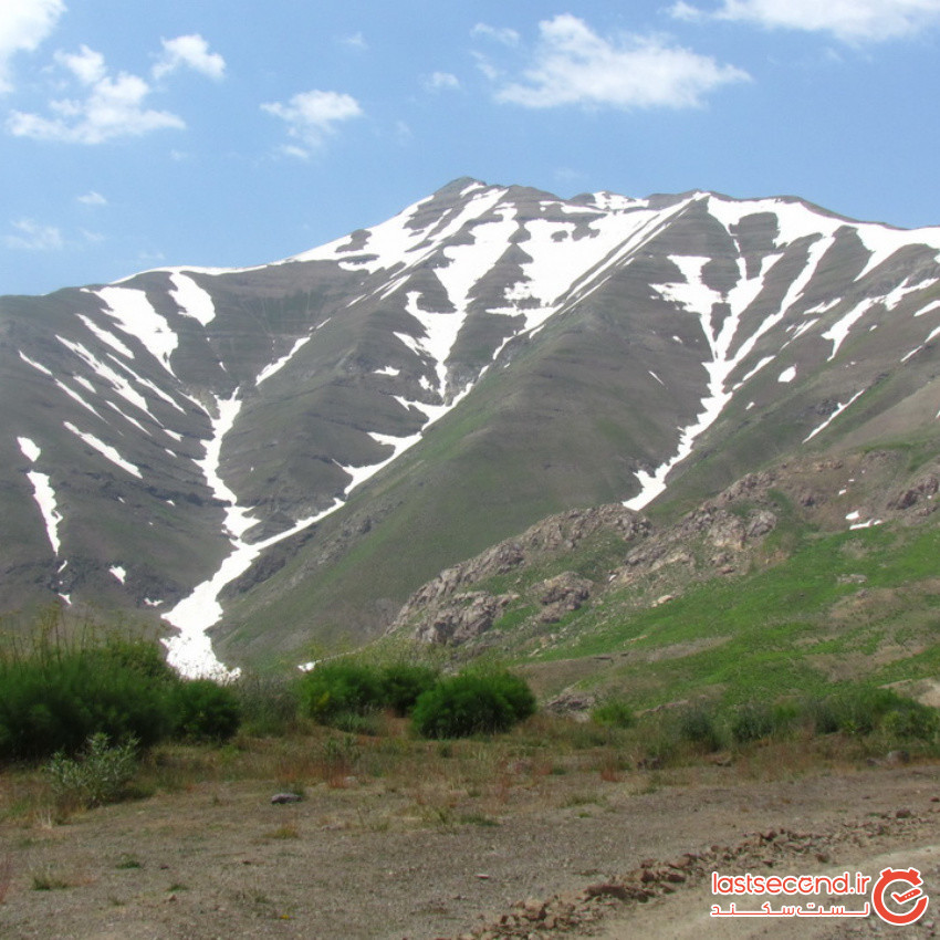 Gardaneh Asalak gahsar (5).jpeg