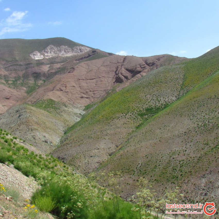 Gardaneh Asalak gahsar (2).jpeg