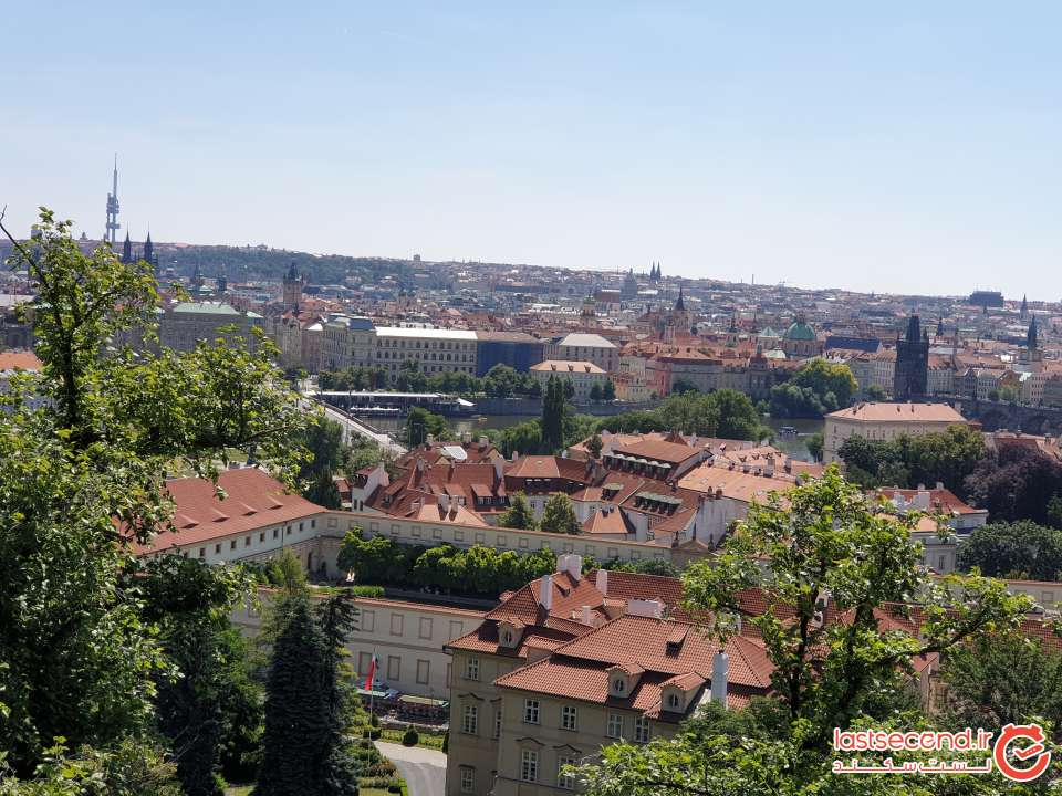 226.jpg