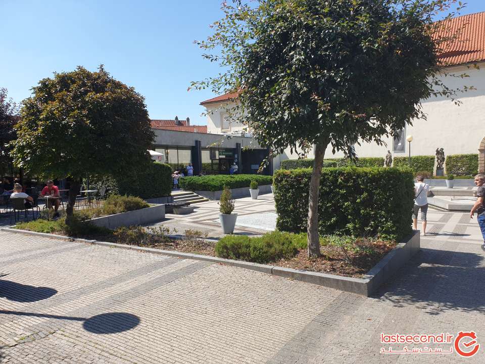 224.jpg