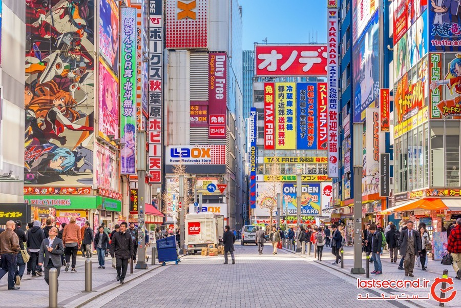 توکیو، شهر شکوفه های گیلاس و کارهایی که باید انجام داد