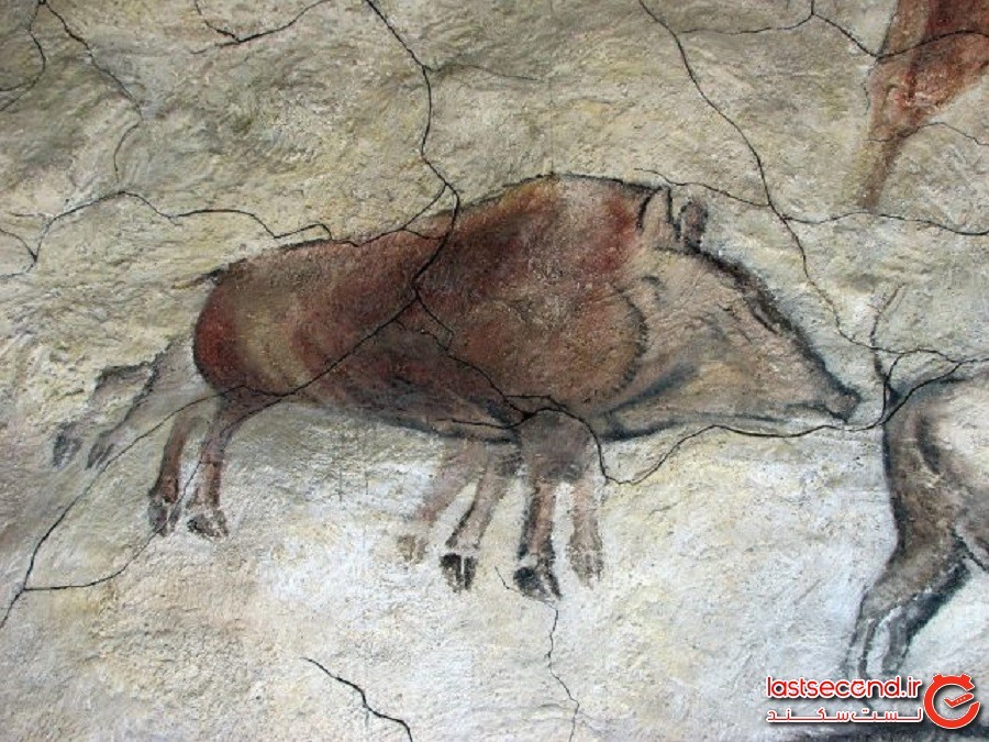 توری از میان خیره‌کننده‌ترین نقاشی‌های غار ماقبل تاریخ در جهان