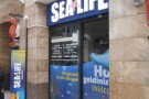 istanbul-sea-life-aquarium (8).jpg