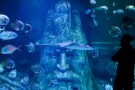 istanbul-sea-life-aquarium (3).JPG