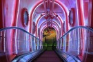 istanbul-sea-life-aquarium (7).jpg