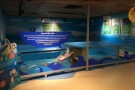 istanbul-sea-life-aquarium (1).JPG