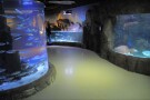 istanbul-sea-life-aquarium (6).JPG