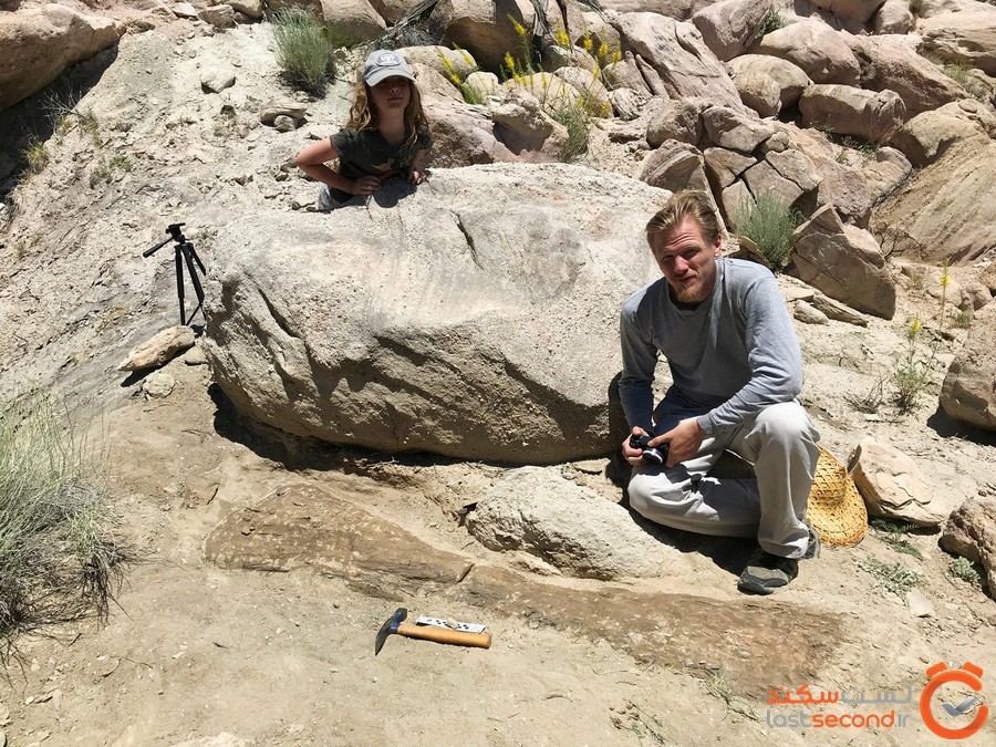 کشف فسیل استخوان های دایناسوری کم یاب در غرب آمریکا