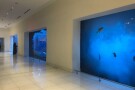 dubai-aquarium-underwater-zoo (4).JPG
