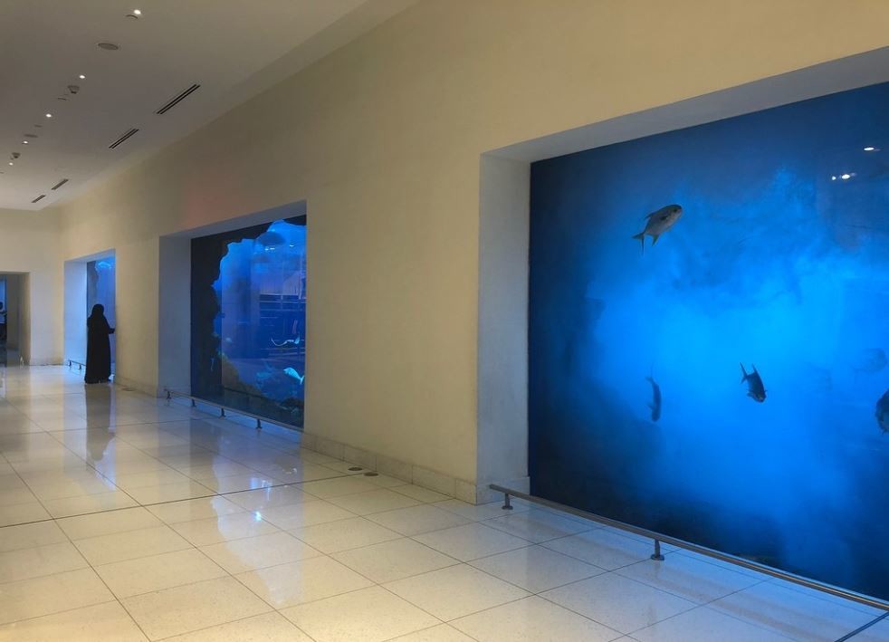 dubai-aquarium-underwater-zoo (4).JPG