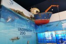 dubai-aquarium-underwater-zoo (5).JPG