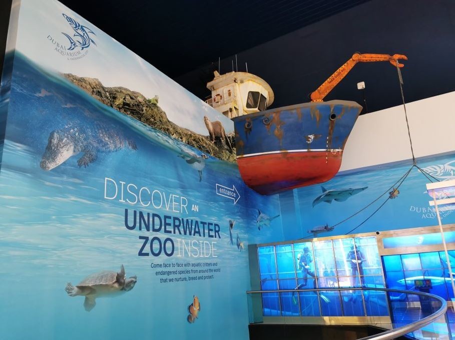 dubai-aquarium-underwater-zoo (5).JPG