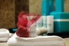 Susesi Luxury Resort - 30.jpg