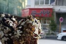 بابا بستنی(بلوار ارم) (2).jpg