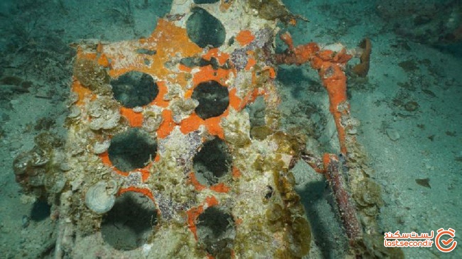لاشه هواپیماهای گمشده امریکایی متعلق به جنگ جهانی دوم سرانجام در یک تالاب اقیانوسی پیدا شدند