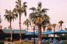 Dubai Marine Beach Resort and Spa - 35.jpg