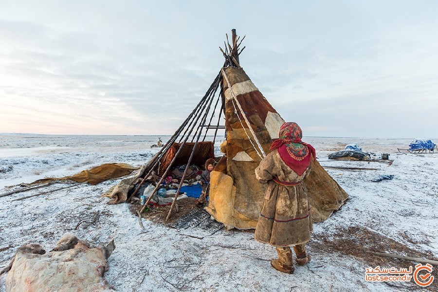 زنی شجاع که به جستجوی الگوی زندگی بومیان سیبری می رود
