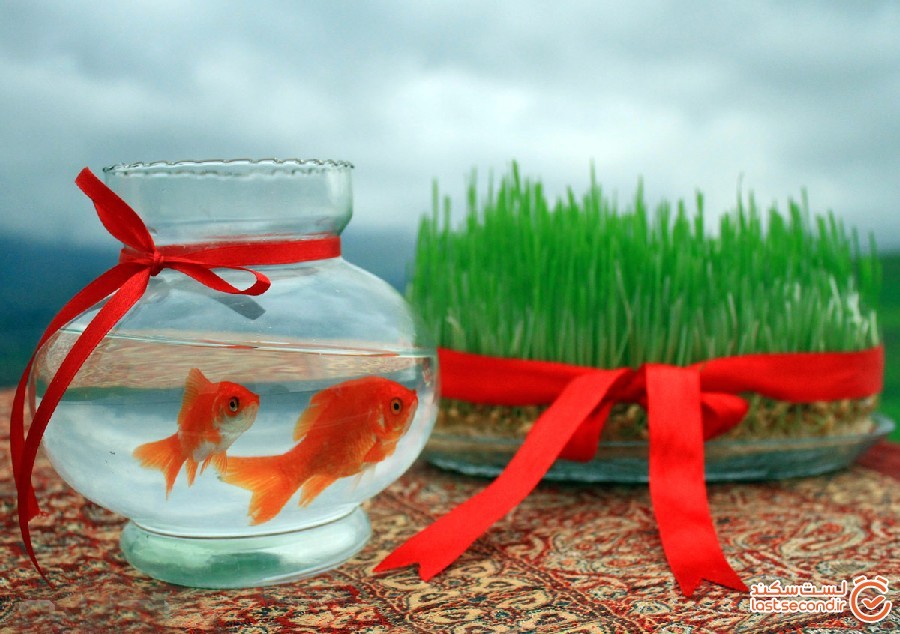 ماهی قرمز هفت سین عامل انتقال کروناست؟