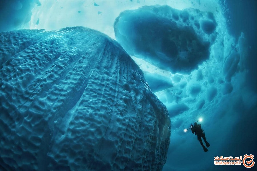 عکس هایی خیره کننده از زیرآب که عظمت کوه های یخ را نشان می دهند