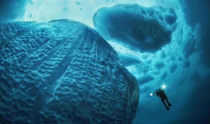 تصاویر خیره کننده از زیرآب که عظمت کوه های یخ را نشان می دهند!