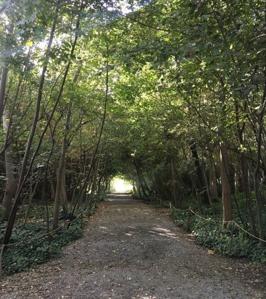 national-botanical-garden-of-iran (1).JPG