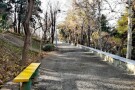 taleghani-park-tehran (1).JPG
