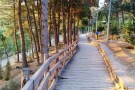 taleghani-park-tehran (3).JPG