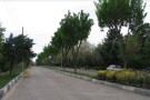 tooska-jungel-park-tehran (1).JPG