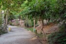 taleghani-park-tehran (2).JPG