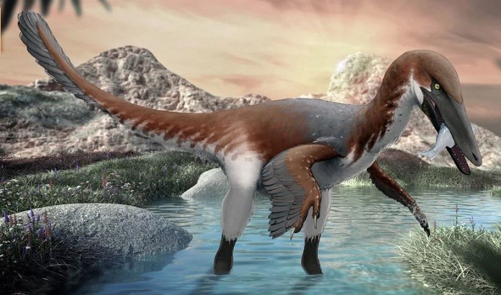 فسیلی شگفت انگیز از دایناسور گوشت خوار در نیومکزیکو کشف شد!
